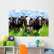 Cattle Wall Mural
