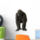 Young Silverback Gorilla Wall Decal