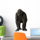 Young Silverback Gorilla Wall Decal