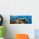 Coral and Fish