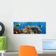 Coral and Fish