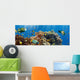 Coral and Fish