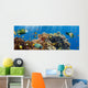 Coral and Fish