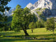 Trees Und Mountains Wall Decal