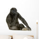 Young Silverback Gorilla Wall Decal