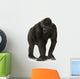 Walking Young Silverback Gorilla Wall Decal