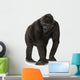 Walking Young Silverback Gorilla Wall Decal