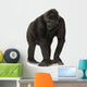 Walking Young Silverback Gorilla Wall Decal