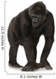 Walking Young Silverback Gorilla Wall Decal