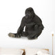 Young Silverback Gorilla Wall Decal