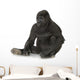 Young Silverback Gorilla Wall Decal