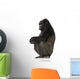 Young Silverback Gorilla Wall Decal