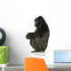 Young Silverback Gorilla Wall Decal
