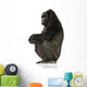 Young Silverback Gorilla Wall Decal