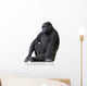 Young Silverback Gorilla Wall Decal