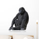 Young Silverback Gorilla Wall Decal
