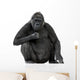 Young Silverback Gorilla Wall Decal