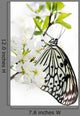 Butterfly on a Branch Wall Mural