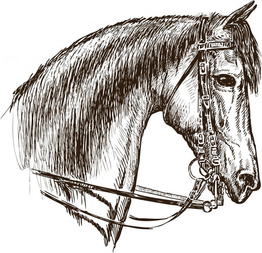 horse in harness Wall Decal