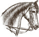 horse in harness Wall Decal