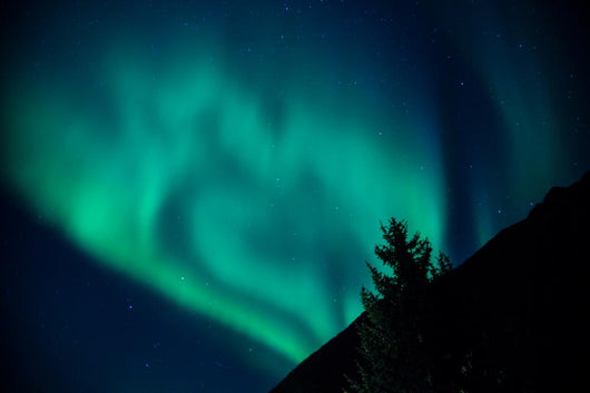 Northern Lights Rising