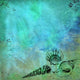 seashells on watery blue green background Wall Mural