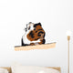 Guinea Pig looking around Wall Decal