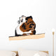 Guinea Pig looking around Wall Decal