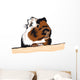 Guinea Pig looking around Wall Decal