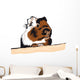 Guinea Pig looking around Wall Decal