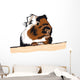 Guinea Pig looking around Wall Decal