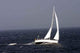 Sailing Wall Decal