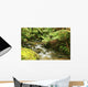 Rainforest River Wall Mural