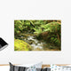 Rainforest River Wall Mural