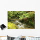 Rainforest River Wall Mural