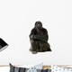 Young Silverback Gorilla Wall Decal