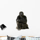 Young Silverback Gorilla Wall Decal