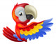 Red Pointing Parrot Wall Decal