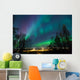 Northern Lights over City Wall Mural