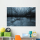 mistery forest Wall Mural