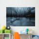 mistery forest Wall Mural