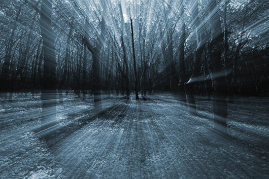 mistery forest Wall Mural