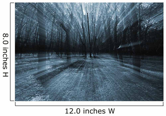 mistery forest Wall Mural