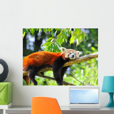 Red Panda Tree shown on a wall