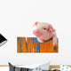 Chill Funny Pig Wall Decal