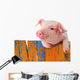 Chill Funny Pig Wall Decal