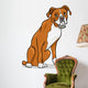 boxer purebred dog cartoon illustration Wall Decal