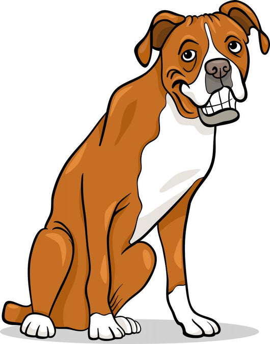 boxer purebred dog cartoon illustration Wall Decal
