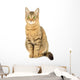 Cat White Wall Decal
