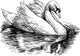 white swan Wall Decal